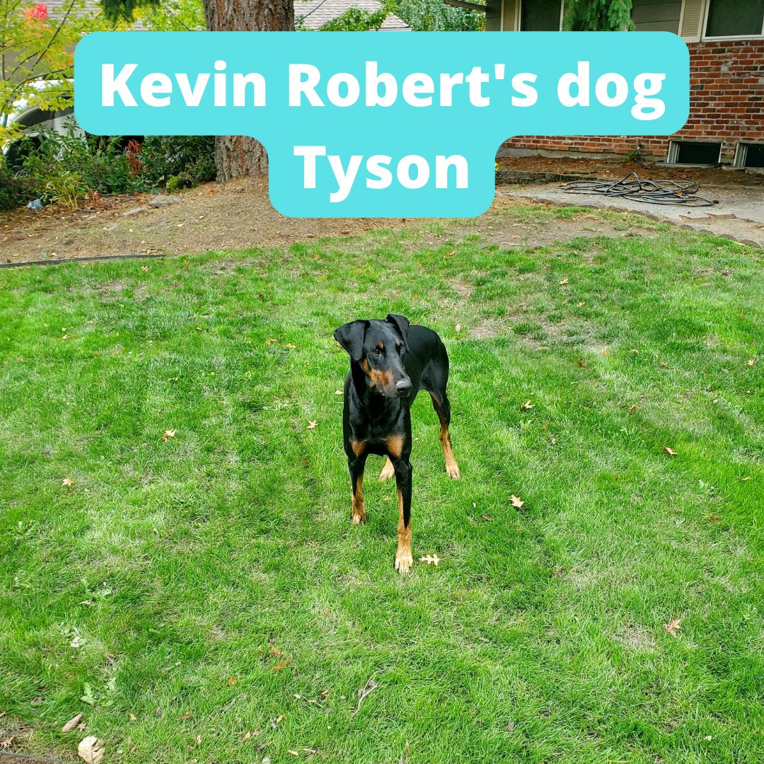 Dog Tyson