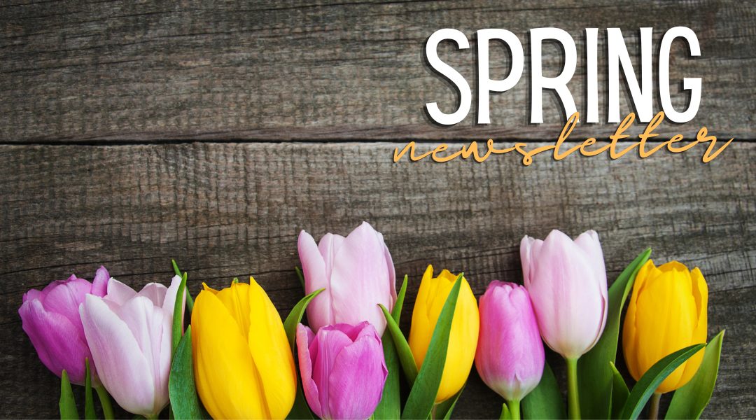 Buying a home in the spring Real Estate